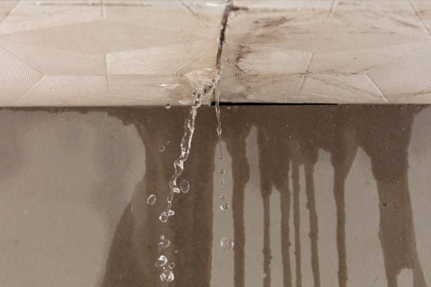 Professional Water Extraction technician working in Garden Prairie, IL